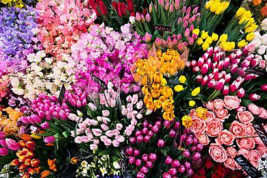 《伊苏8》PS5版预告 11月15日北美发售