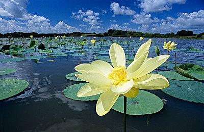 《完美音浪》最后一次更新即将发布 实体版仍按计划推出